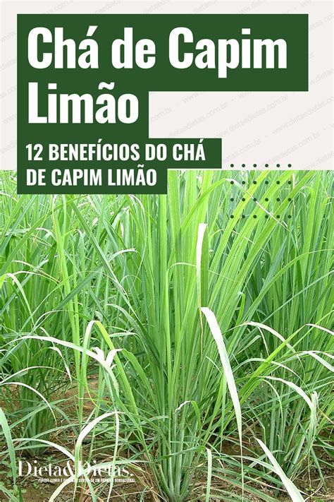 Benef Cios Do Ch De Capim Lim O Ch De Erva Cidreira Como