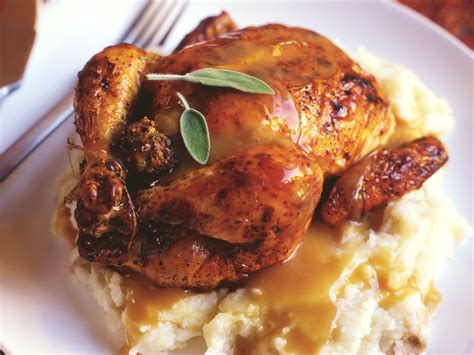 Cornish Game Hen Glaze Recipes From Citrus To Apricot