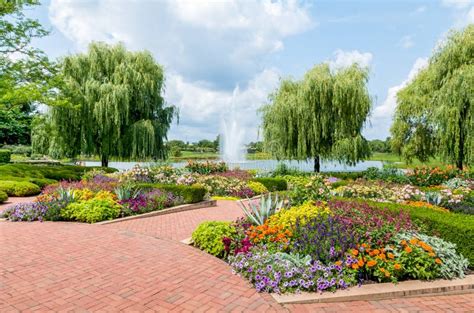 Chicago Botanic Garden Usa Stock Photo Image Of Flowers Farmland