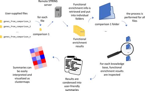 schematics  restring workflow restring works  user supplied