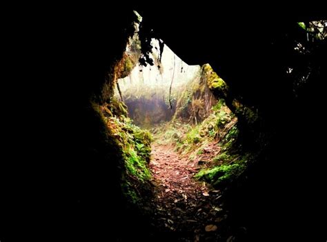 Premium Photo Field Seen Through Cave