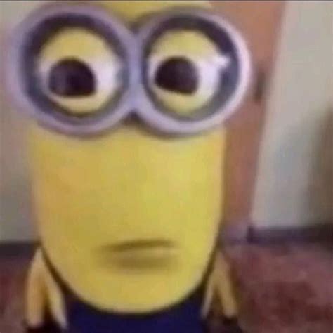 Minion What Meme