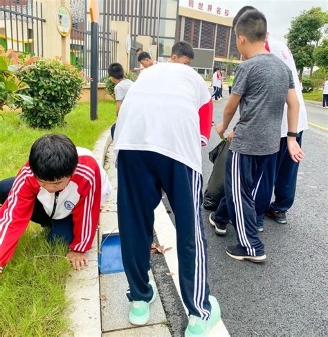 校园卫生大扫除，劳动育人树新风——国科共青城实验学校 宽高教育集团