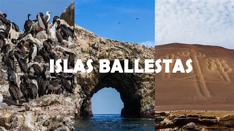 Paracas Islas Ballestas Como Llegar Y Que Hacer 🌅🐧🤩 Youtube