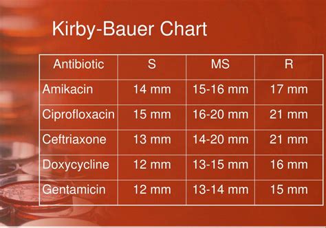 PPT Antibiotic Sensitivity Testing PowerPoint Presentation Free