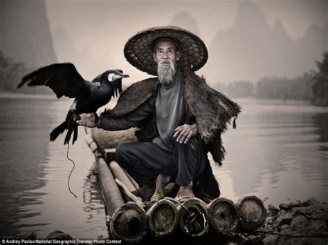 Cormorant fishing Li river — Exploring the art of cormorant fishing ...