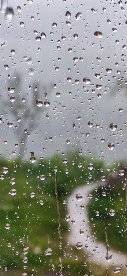 Droplets on the Window after the Rain . Stock Photo - Image of window, leaf: 277711050