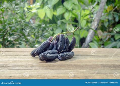 Witch Fingers Grapes Plants