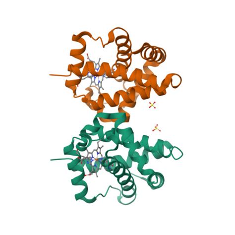 Rcsb Pdb Qqq Crystal Structure Of Non Symbiotic Plant Hemoglobin