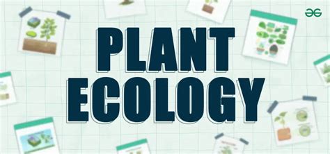 Plant Ecology - Definition, Types, Examples and Importance - GeeksforGeeks