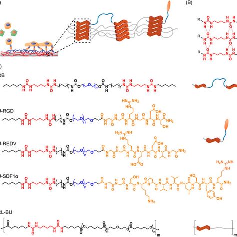 A Schematic Representation Of Supramolecular Approach For The