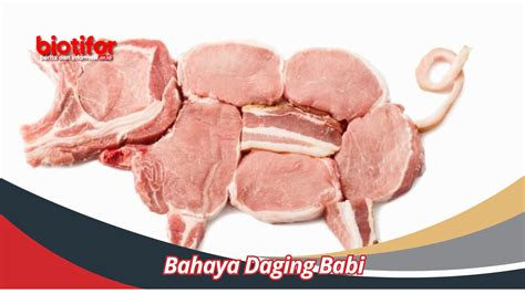 Bahaya Daging Babi Ungkap Dampak Negatif Konsumsi Babi