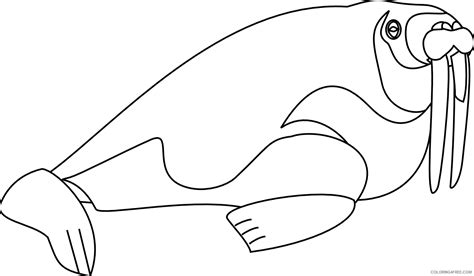 Walrus Coloring Pages Walrus Printable Coloring4free