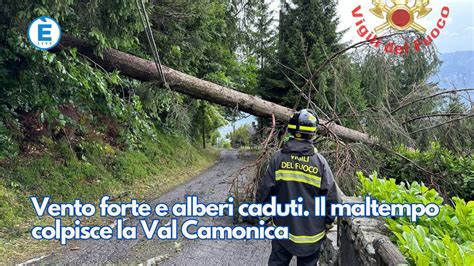 Vento Forte E Alberi Caduti Il Maltempo Colpisce La Val Camonica