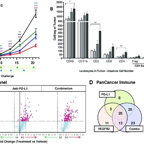 VEGFR 2 Blockade Induces Anti Tumor Effects And Increases T Cell