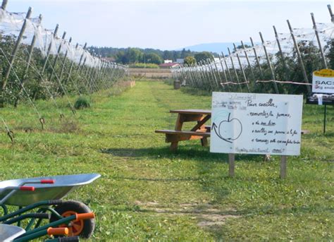 Les Vergers de Rioz Rioz Haute Saône 70 Bienvenue à la ferme