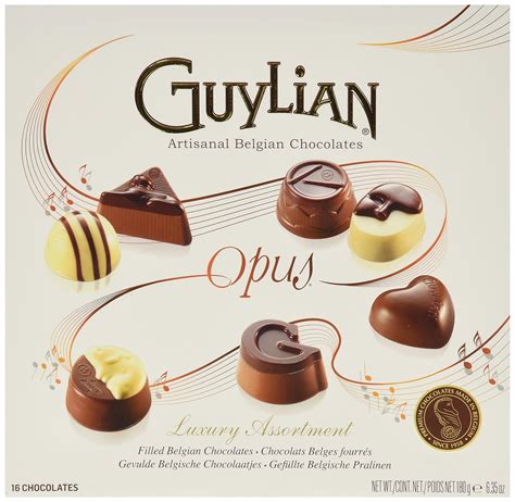 Amazon Guylian Belgium Chocolates 16 Piece Luxury Assortment Opus