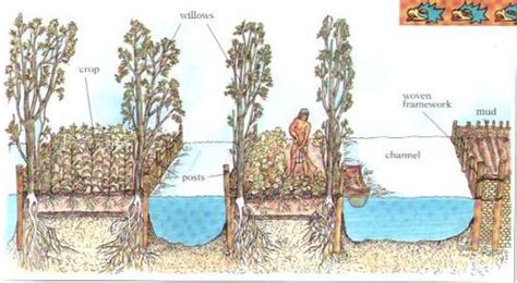 Aztec Farming - THE AZTECS