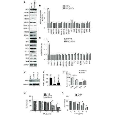 5 Fu Resistant Crc Cells Acquire Emt Phenotype A Hct15 And