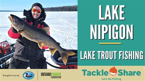 Lake Nipigon Lake Trout Fishing Youtube