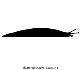 Slug silhouette Images, Stock Photos & Vectors | Shutterstock