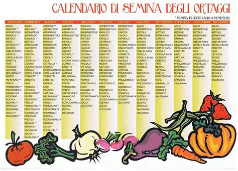 Calendario Delle Semine Orto Urbano Fai Da Te