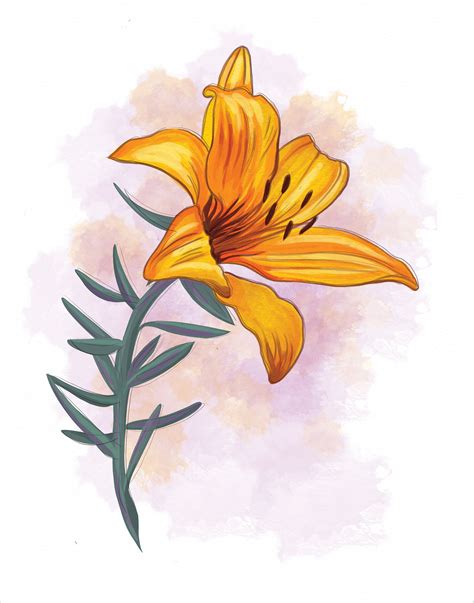 Lily Art Print Botanical Illustration Flower Art Botanical Etsy