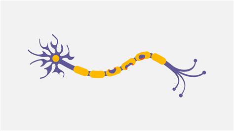 What is Multiple Sclerosis (MS)? | MS Society
