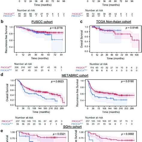 Pik3ca Mutation Does Not Predict Clinical Outcomes Kaplan Meier Plots