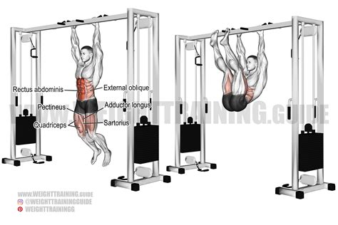 Hanging Straight Leg And Hip Raise Guide And Video Weight Training Guide