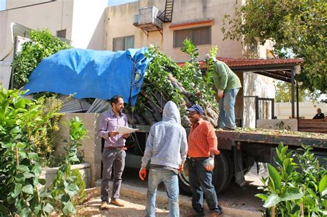 Million Tree Program In Palestine The Arab Group For The Protection