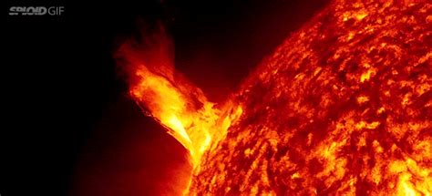 Solar Dynamics Observatory Sun GIF - Find & Share on GIPHY 