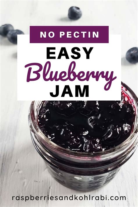 How To Make Blueberry Jam No Pectin Recipe Artofit