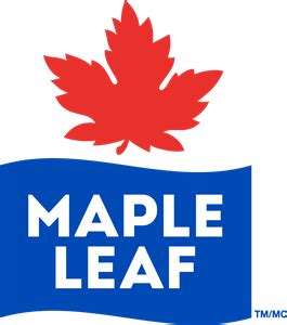 Maple Leaf Logo PNG Vector (EPS) Free Download