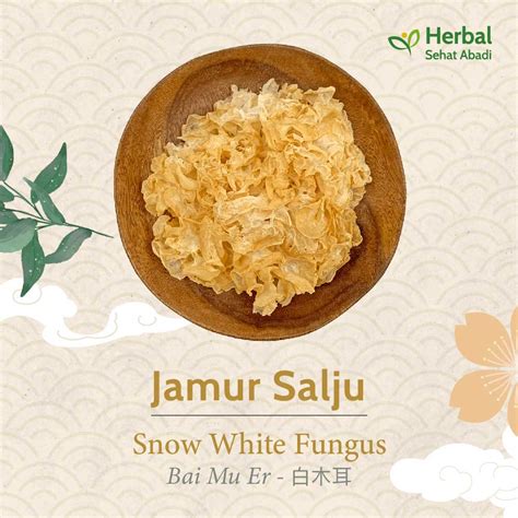 Jual Jamur Salju Jamur Putih White Fungus Bai Mu Er