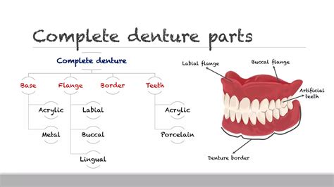 introduction  prosthodontics  complete dentures