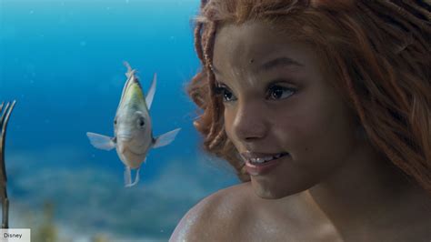 What kind of fish is Flounder in The Little Mermaid?