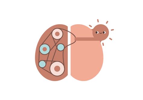 Brain Tumor | Know the Symptoms and What the Treatments Are | Buoy