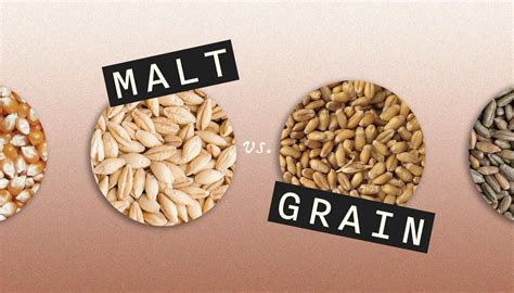 Malt Vs Grain Whiskey What S The Difference In Taste