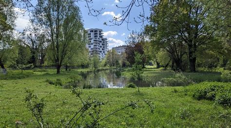 Rennes Prairies St Martin BASE