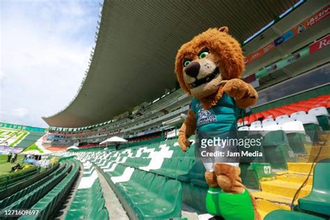 72 Mascot Of Tigres Stock Photos, High-Res Pictures, and Images - Getty ...