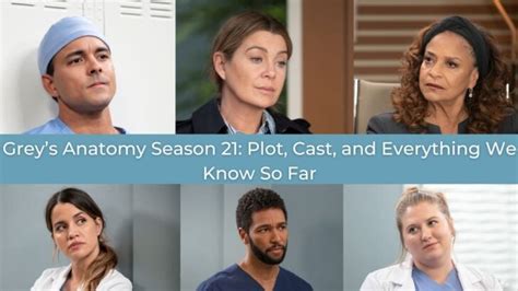 Grey's Anatomy Season 21: Cast and Character Guide - TV Fanatic