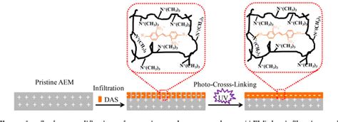 Figure 1 From Design Of Monovalent Ion Selective Membranes For Reducing