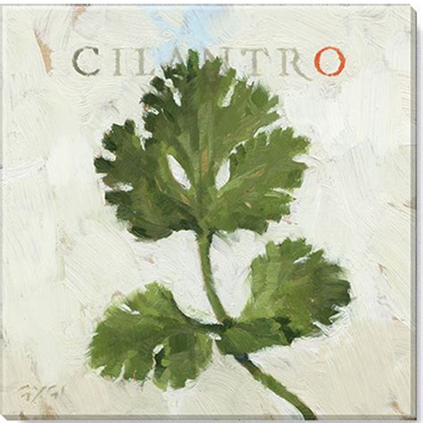 Darren Gygi Home Collection Cilantro Giclee Wall Art By Darren Gygi