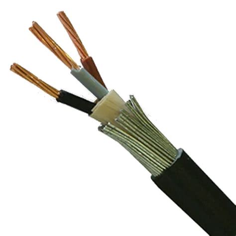 2 5 Sq Mm 3 Core Copper Armoured Cables Application Industrial At Best