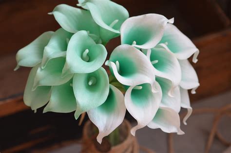 10 Mint Picasso Green Calla Lilies Real Touch Flowers Diy Etsy