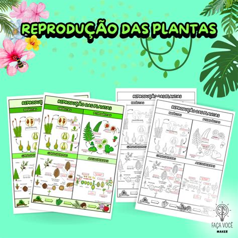 Reprodução Das Plantas 8 Ano - 7