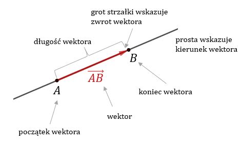 Wektory