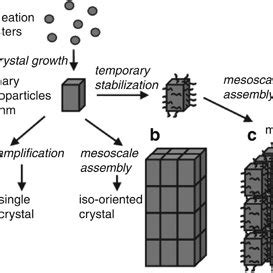 Schematic Illustration Of Classical And Non Classical Crystallization