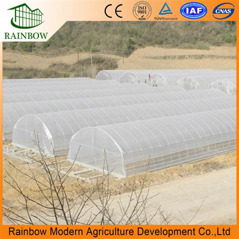 Commercial Tunnel Film Shade Green House With Hot DIP Galvanized Steel